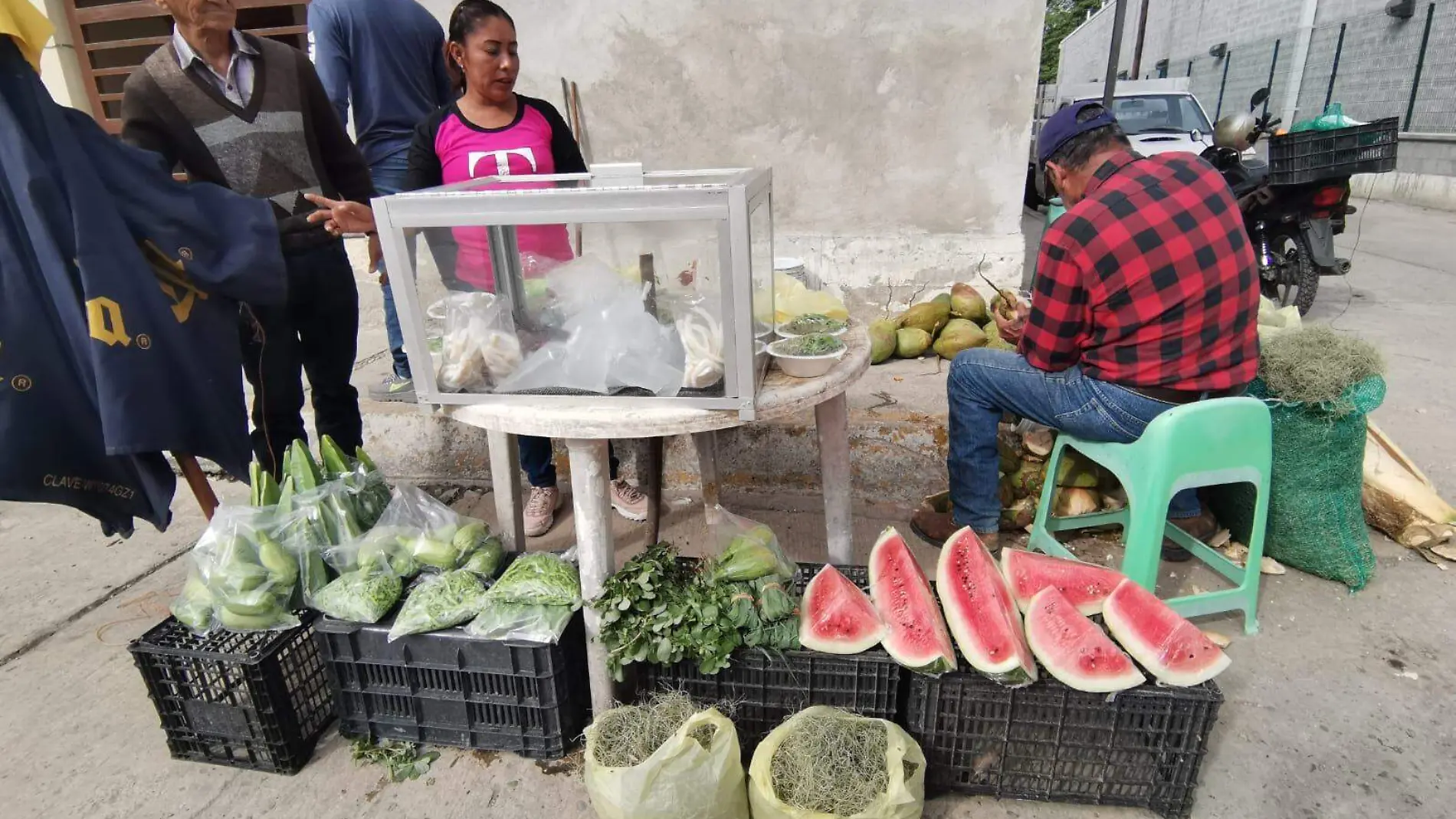 La venta de verdolaga se mantiene en los mercados rodantes del norte de Veracruz